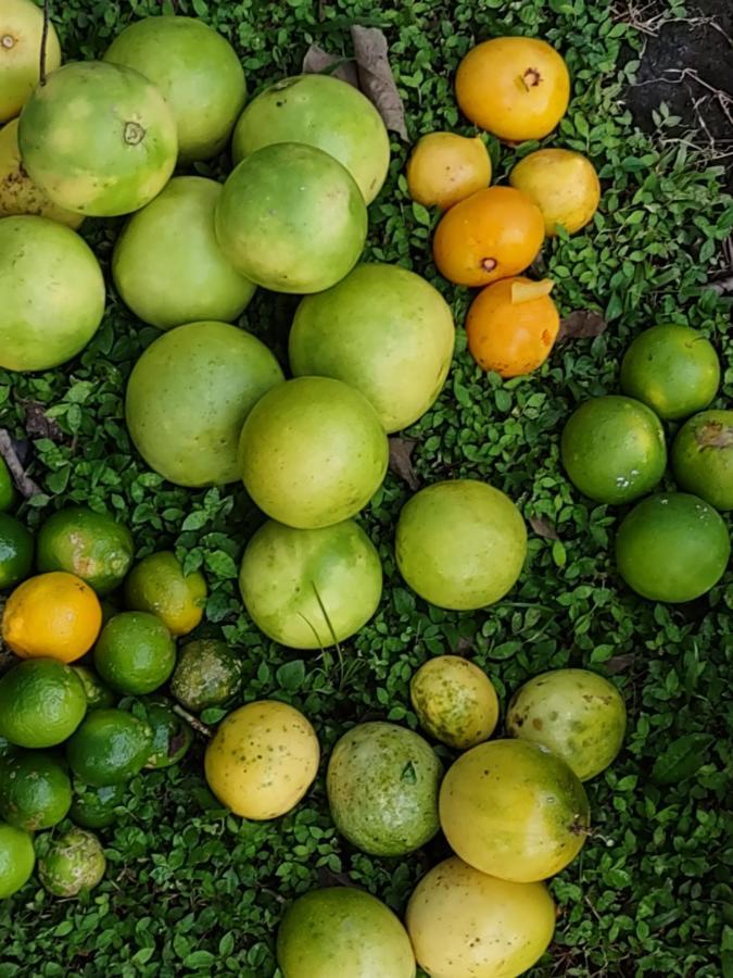 Finca Mystica Mérida Zewnętrze zdjęcie