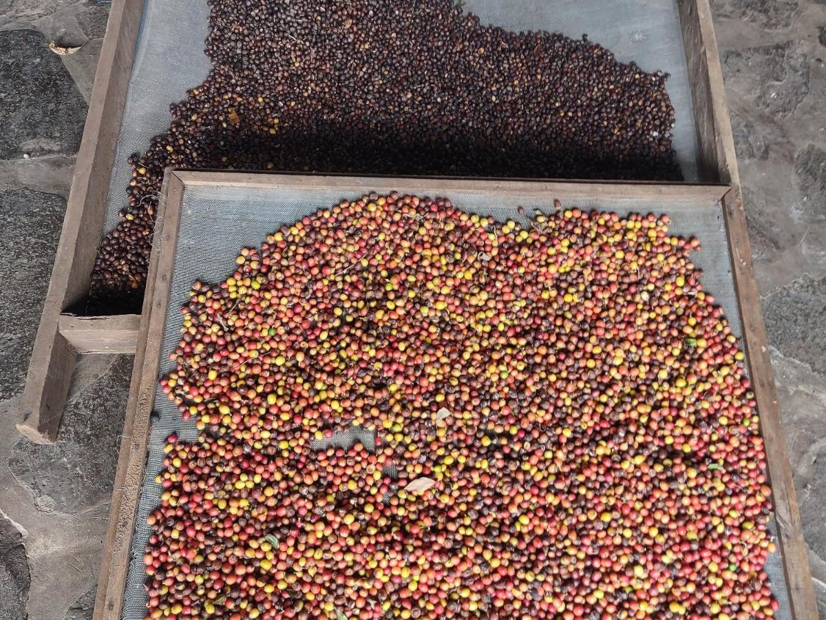 Finca Mystica Mérida Zewnętrze zdjęcie