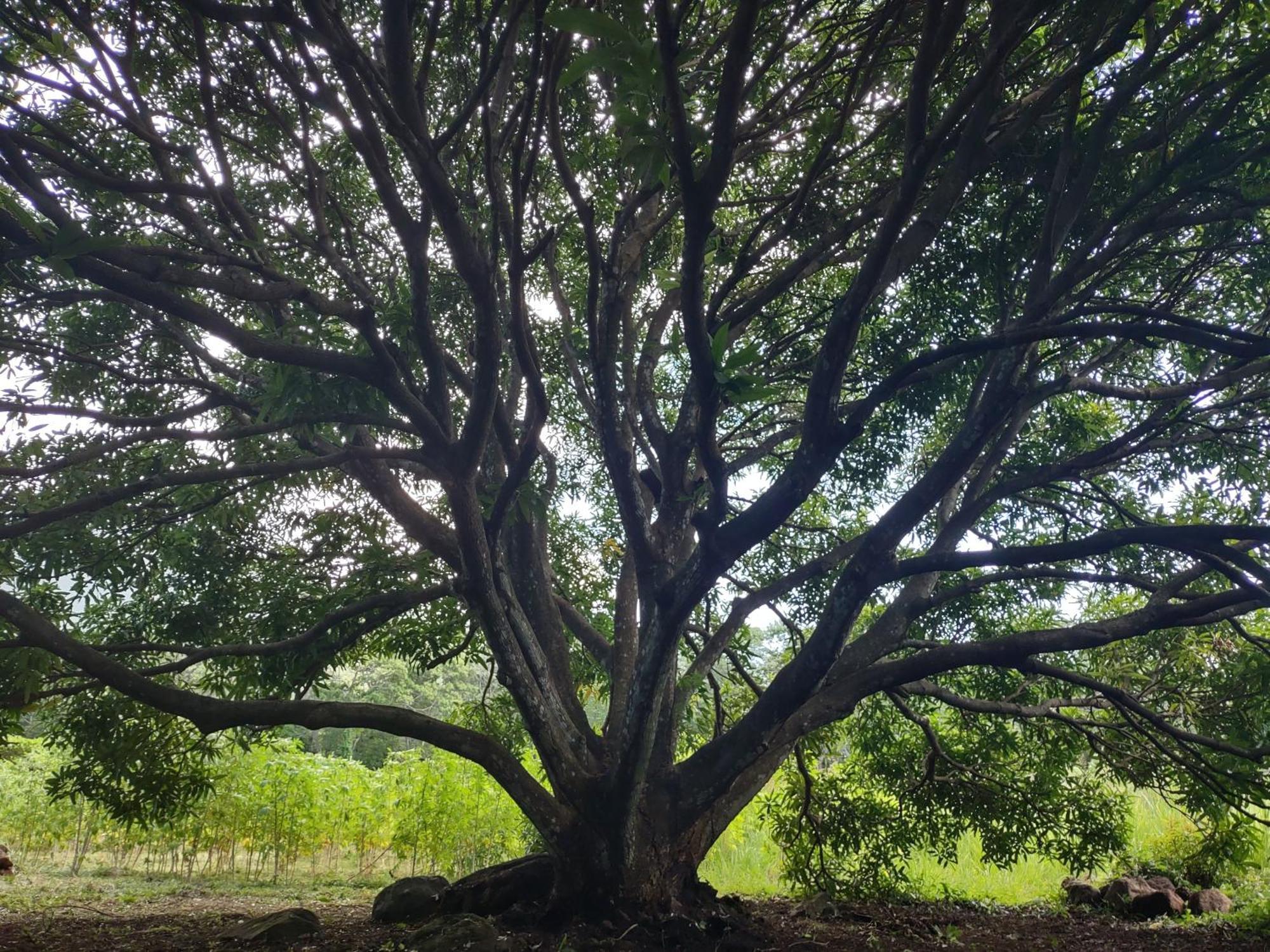 Finca Mystica Mérida Zewnętrze zdjęcie