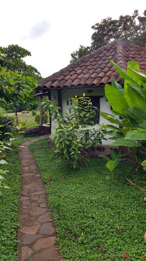 Finca Mystica Mérida Zewnętrze zdjęcie