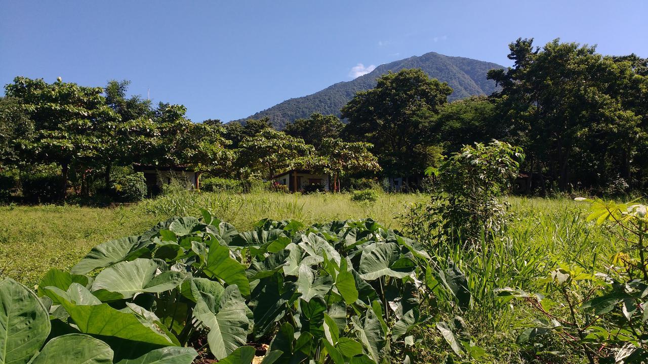 Finca Mystica Mérida Zewnętrze zdjęcie