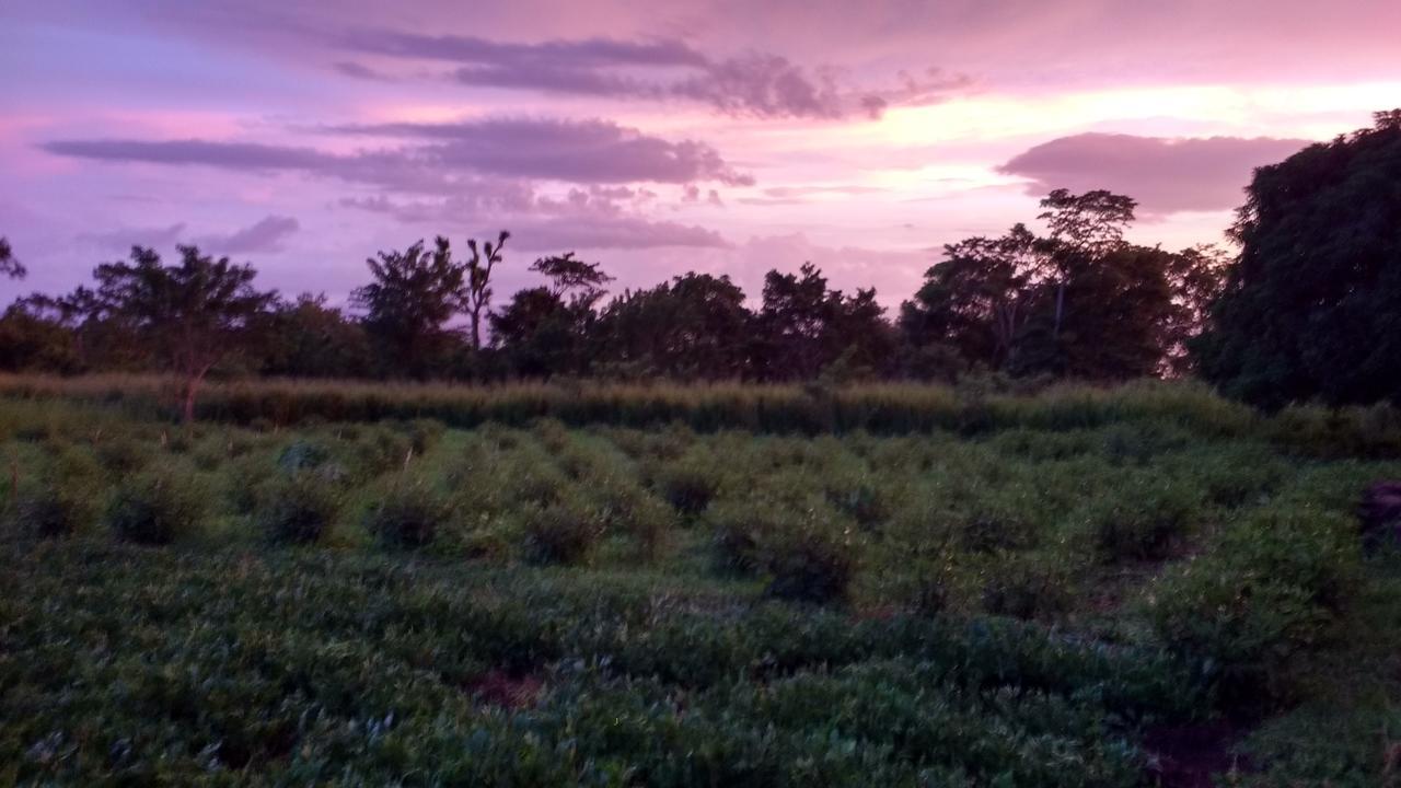 Finca Mystica Mérida Zewnętrze zdjęcie